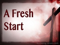 A Fresh Start